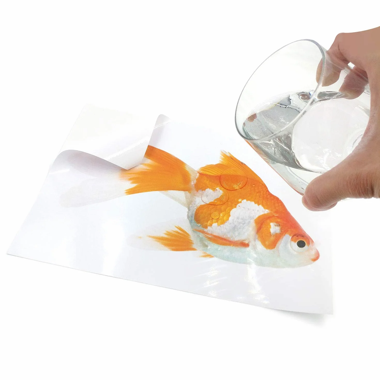 Papier vinyle blanc imperméable A4 pour impression laser, lot de 10 feuilles autocollantes brillantes