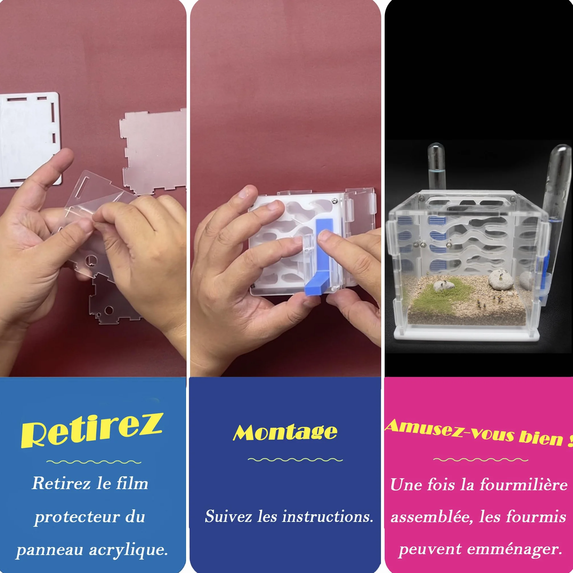 Kit de démarrage fourmilière acrylique système hydratation automatique facile installation nid fourmis peu entretien débutants