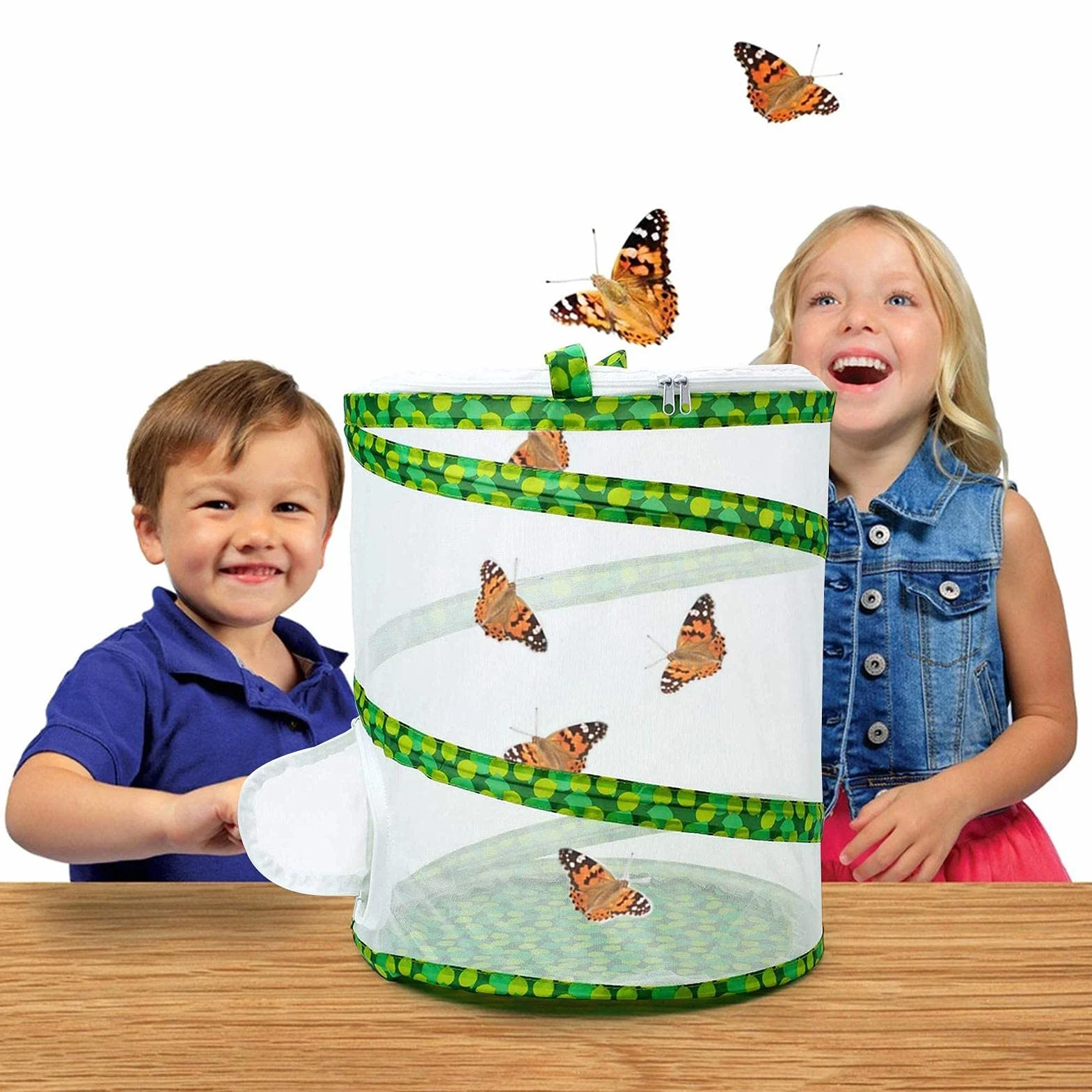 Cage d'élevage d'insectes pliable, filet de protection pour papillon et scarabée, portatif