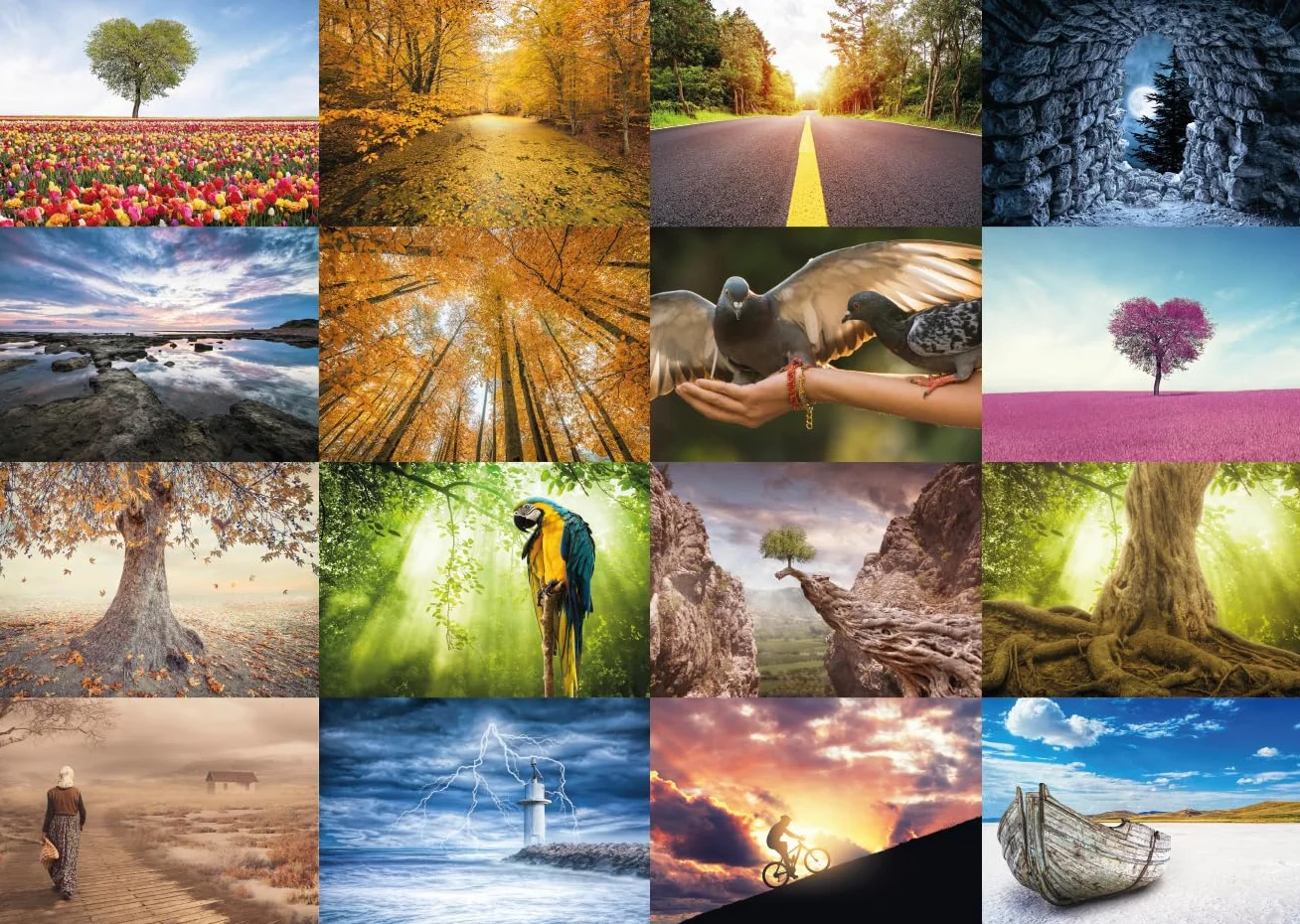 Lot de 64 cartes postales - Nature, animaux et paysage - Postcrossing