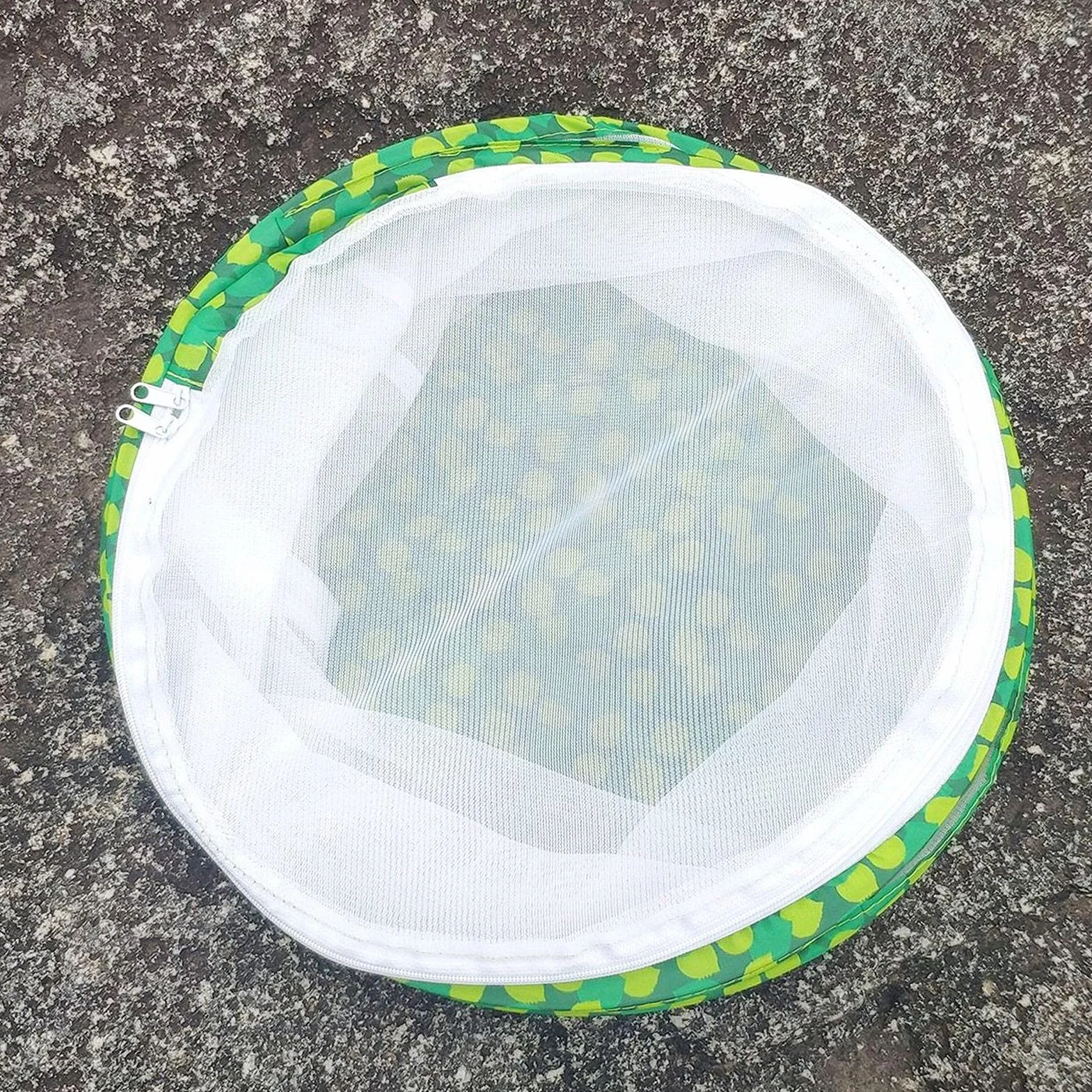 Cage d'élevage d'insectes pliable, filet de protection pour papillon et scarabée, portatif