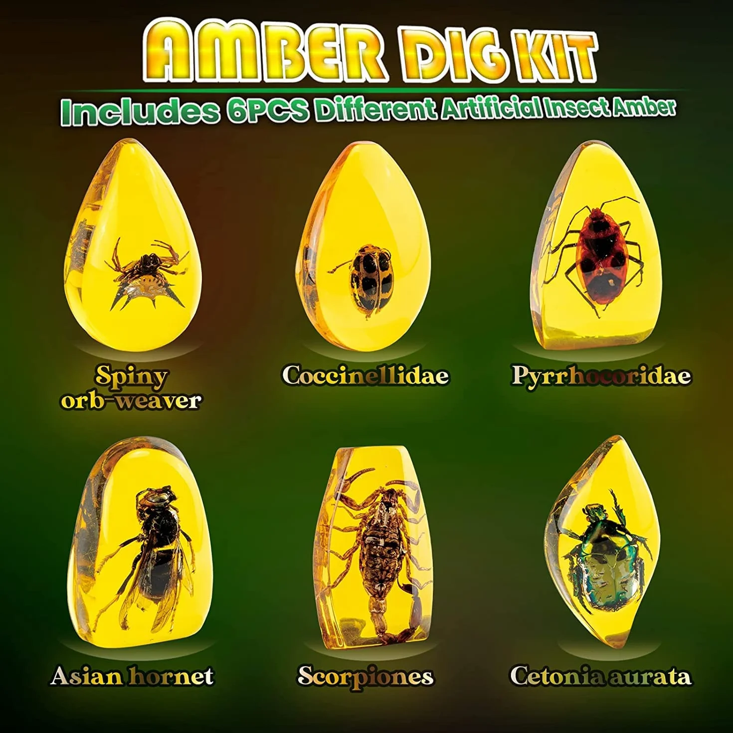 AMOSTING Science et Jeu Kit de Fouille Ambre avec Fossiles d'Insectes en Résine Artificielle pour Enfant 6+ Ans