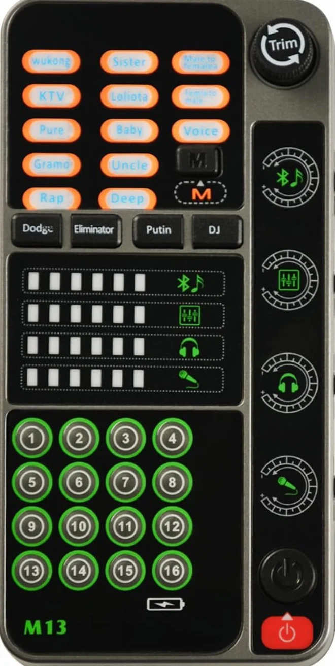 Flylin Changeur de voix portable microphone modulateur 16 effets sonores enregistrement jeu