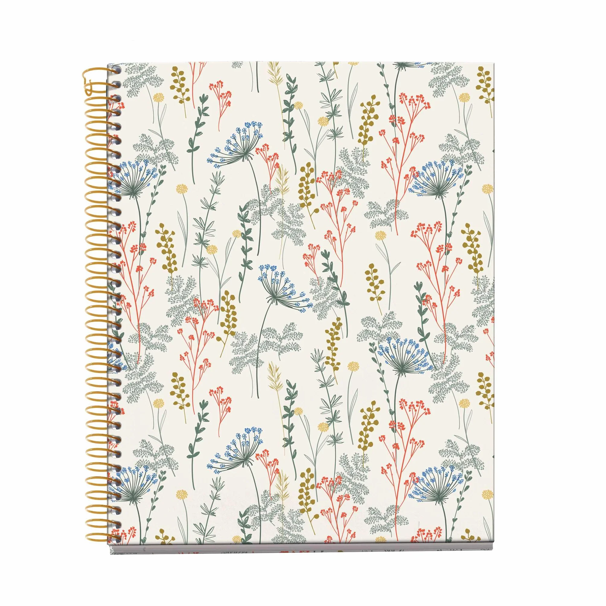 Miquelrius Cahier à reliure spirale A5 100 feuilles lignées 70 g/m² Couverture carton rigide