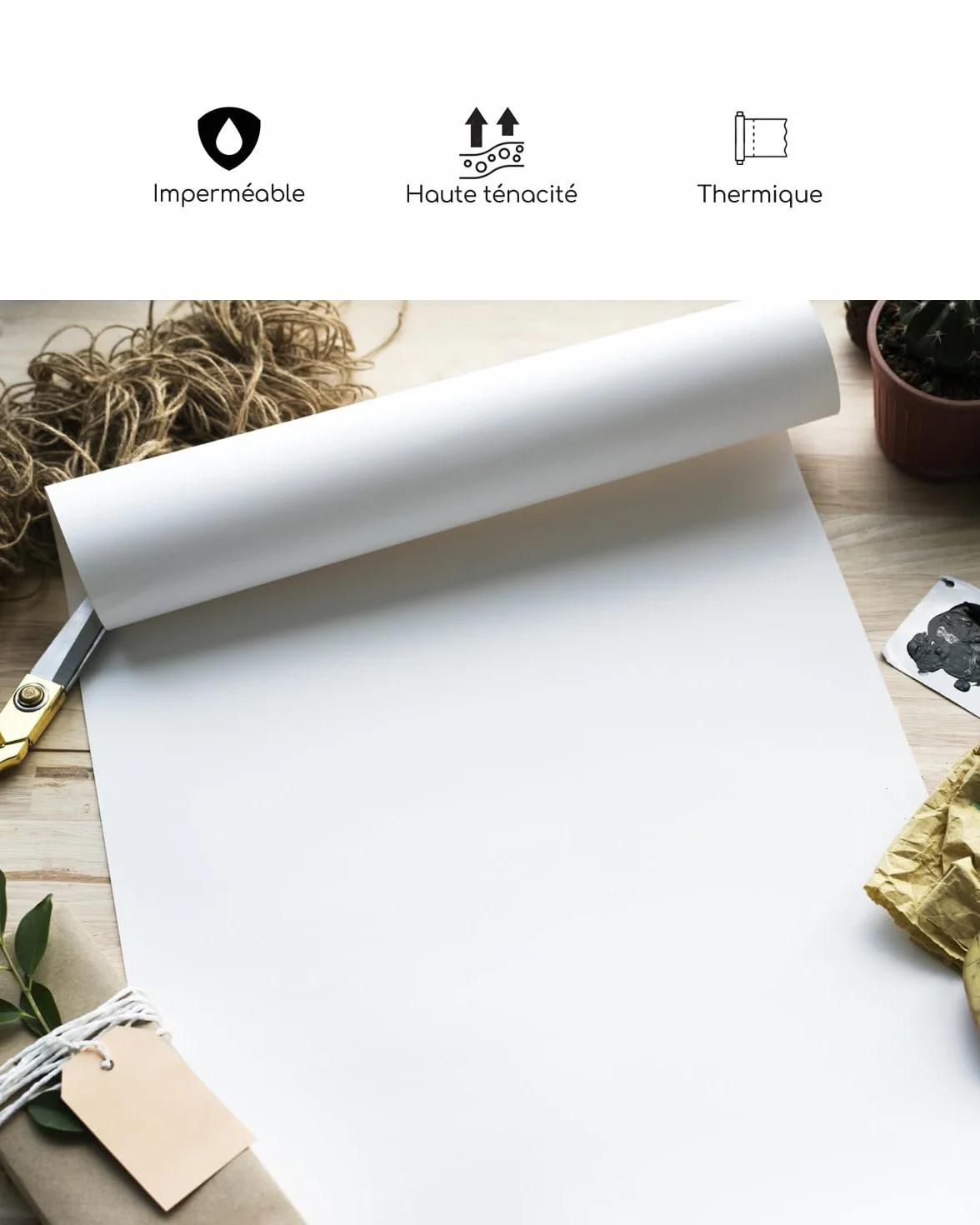 Papier thermique A4 210x297mm 4 Rouleaux 6,5m Sans BPA ni BPS Compatible Imprimantes Thermiques Portables