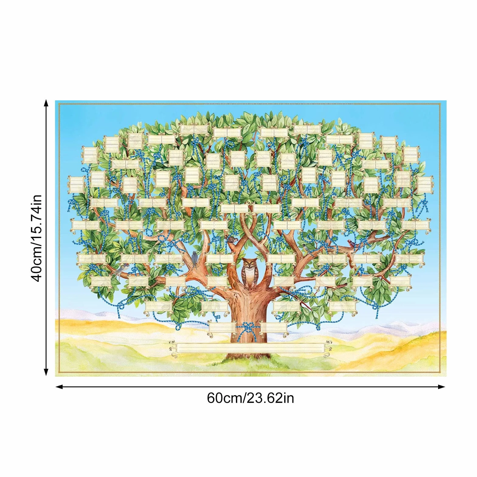Diagramme d'arbre généalogique - Graphiques vierges - Carte à remplir - Histoire familiale