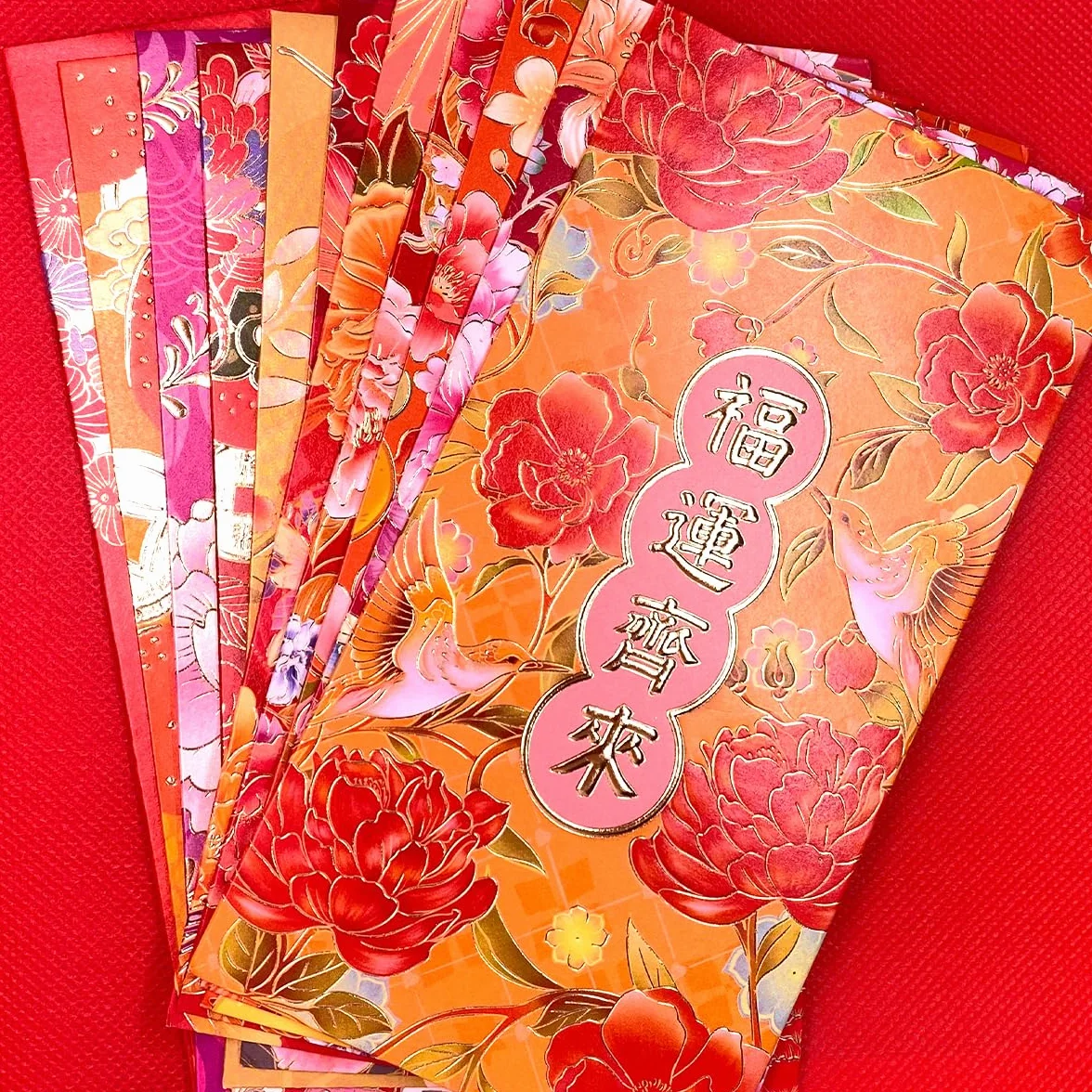 Enveloppes Rouges Hong Bao pour le Nouvel An Chinois, Grandes Enveloppes Porte-Bonheur pour Argent Liquide, Paquets Rouges Lai See