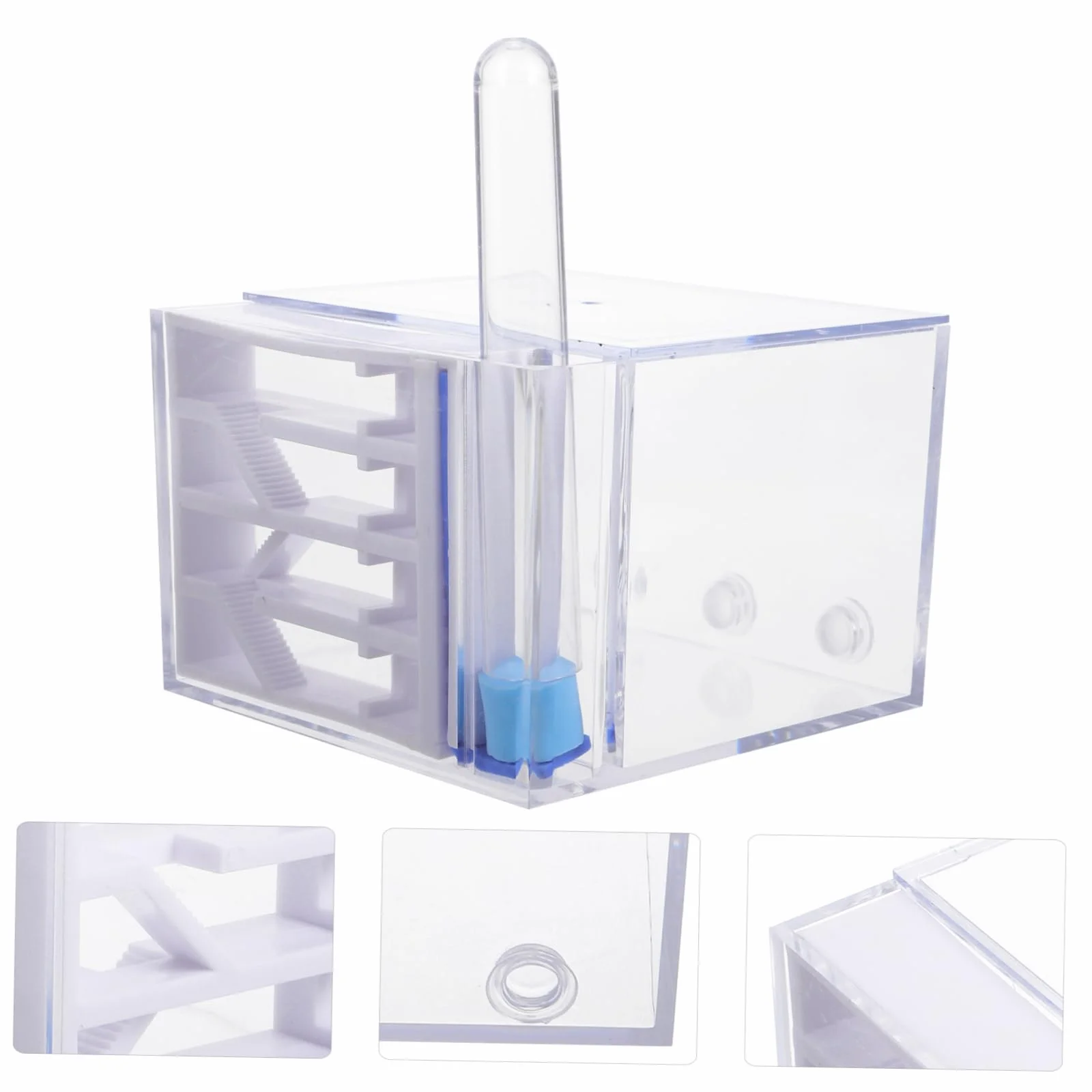 BESTonZON Fourmilière en Acrylique Observation Facile, Trousse Éducative pour Enfants, Jouet Scientifique