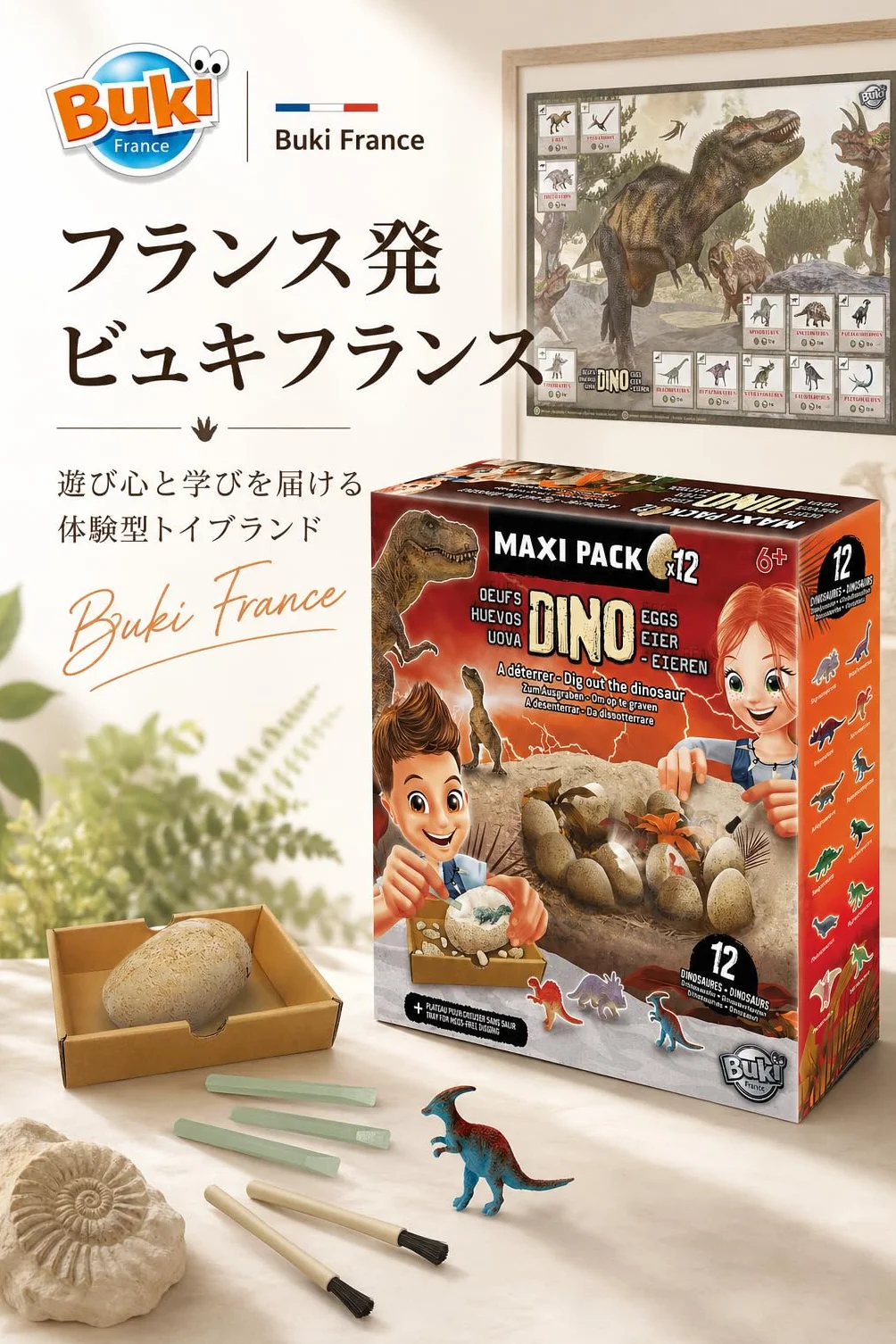 Buki Dino egg maxi pack 2138