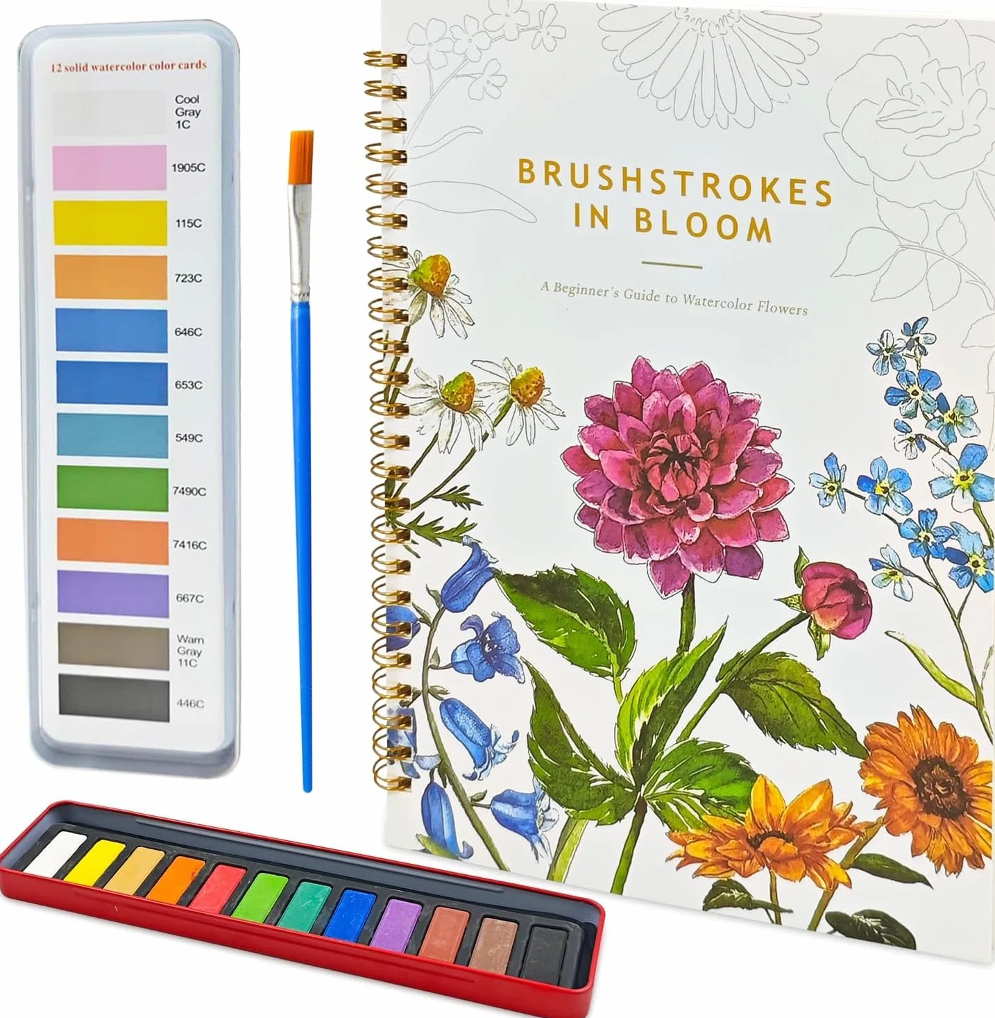 Cahier Aquarelle Adulte avec Pigment Pinceau Kit Aquarelle Débutant