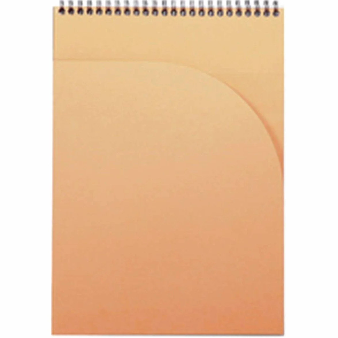 Rhodia Bloc-Notes A4 21 x 29,7 cm 80 Feuilles Petits Carreaux Papier Clairefontaine 90 g/m² Couverture Polypro Recyclée Noir