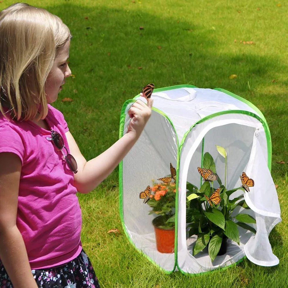 Lot de 2 cages à insectes et papillons pour terrarium 40 x 40 x 60 cm