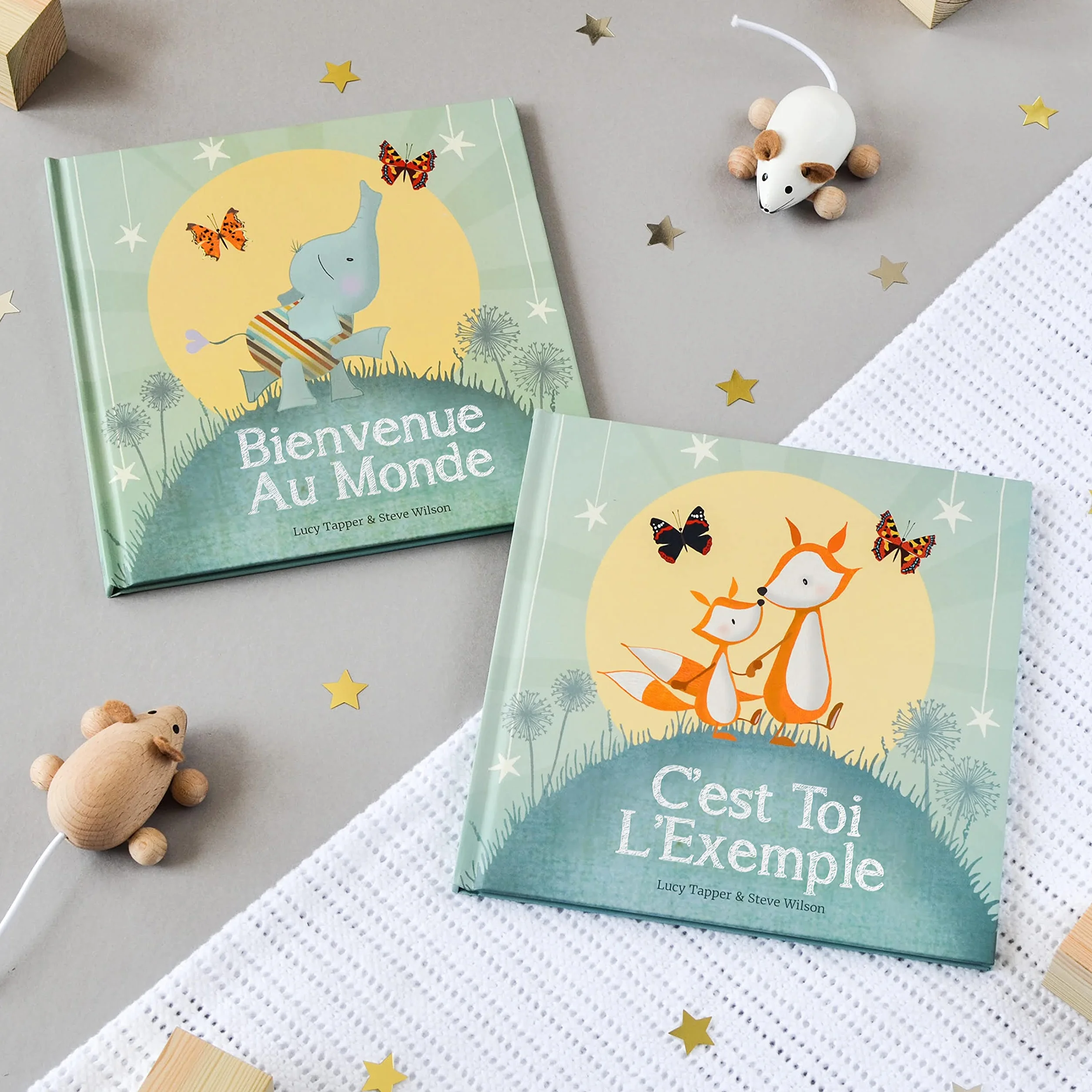 C'est Toi l'Exemple - Livre Cadeau pour Futur Grand Frère ou Grande Sœur - Album Jeunesse Naissance Bébé - Papier Éthique FSC