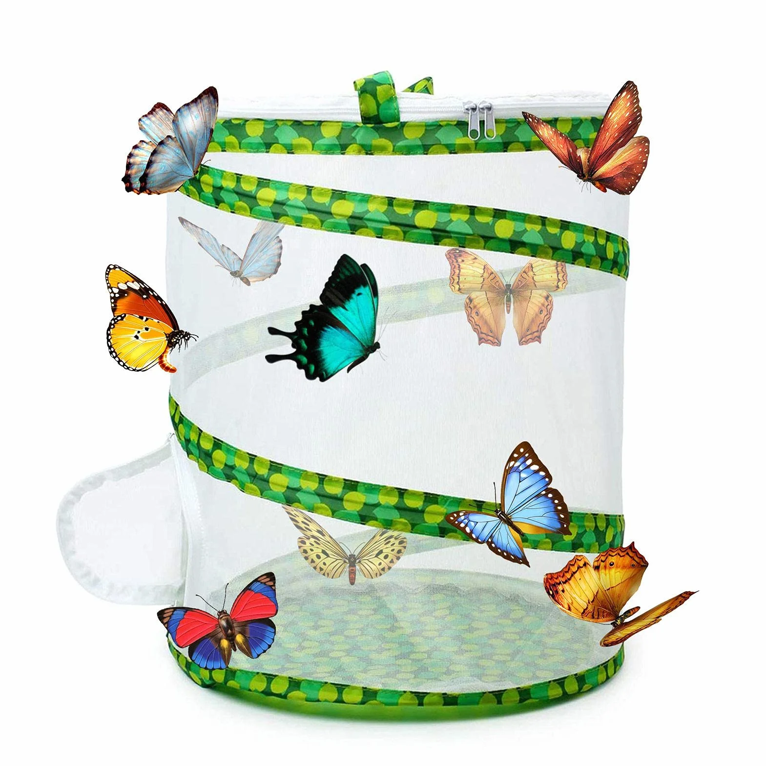 Cage d'élevage d'insectes pliable, filet de protection pour papillon et scarabée, portatif