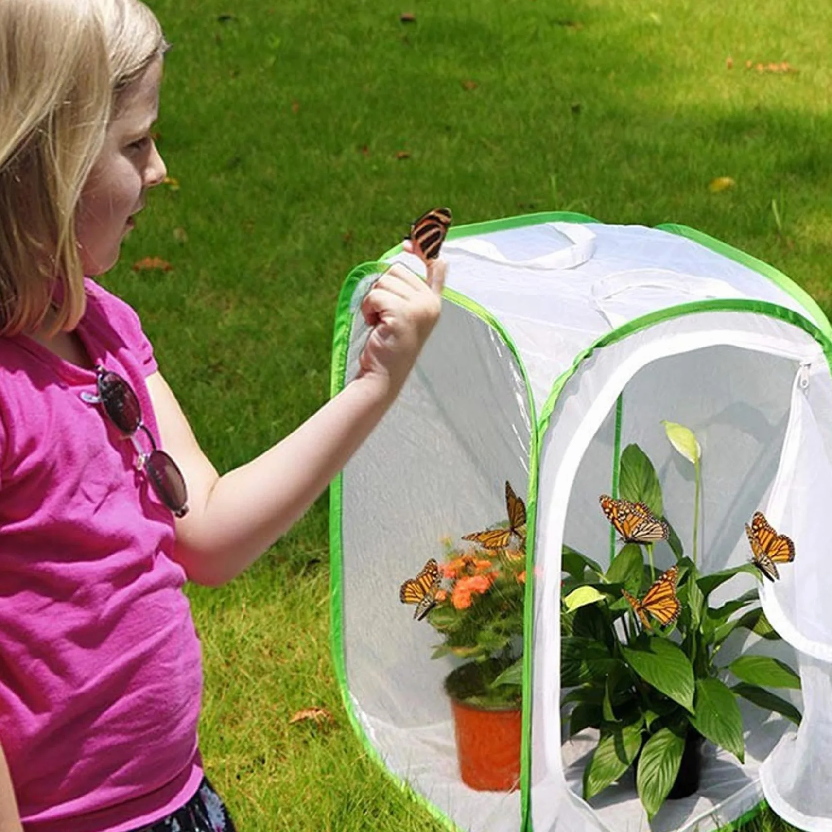 Cage Papillon 12x12x12'' Pop-up Tente Filet pour Élevage Enfants