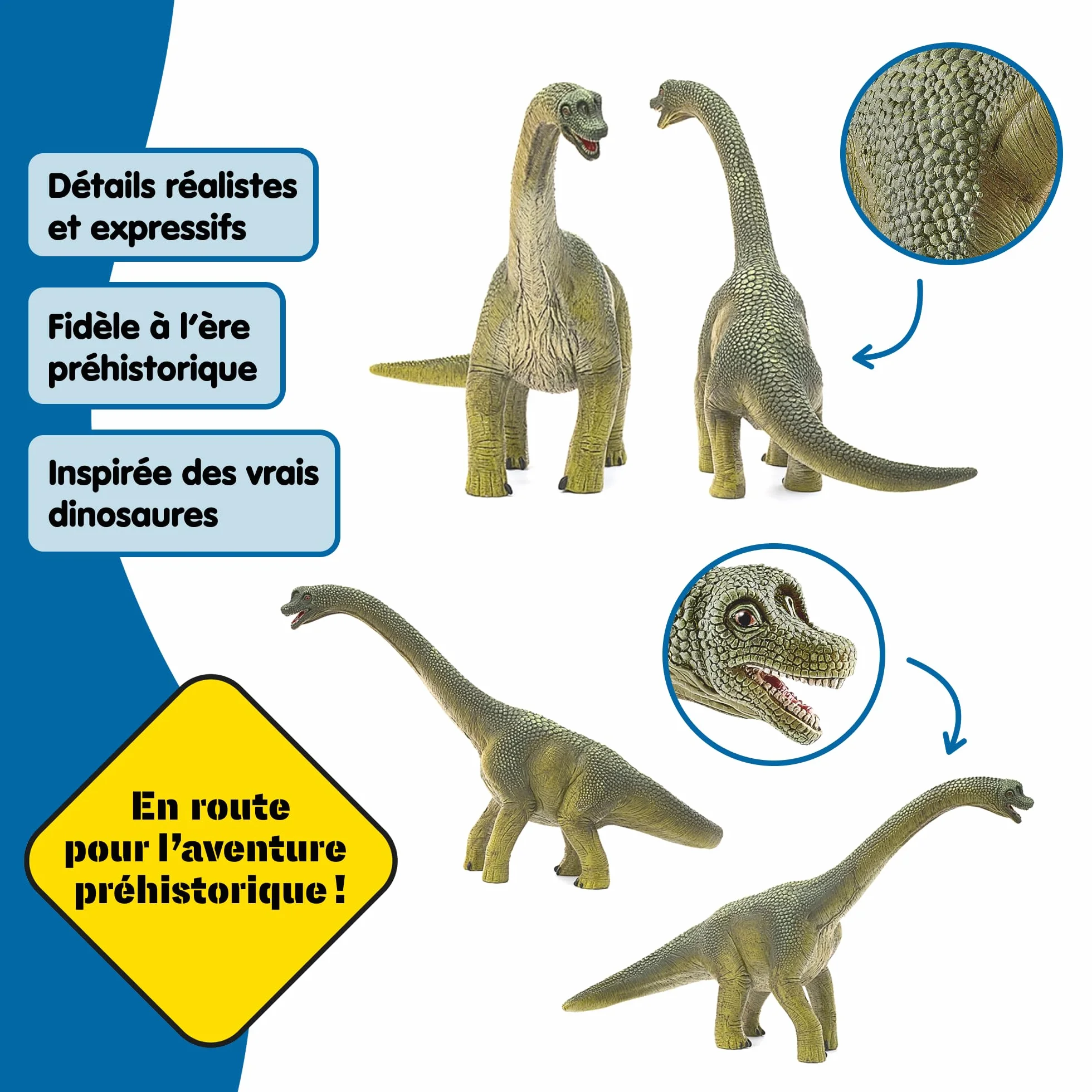 Schleich Dinosaurs Brachiosaure 14581 Jouet Dinosaure Fidèle aux Détails 30 x 12 x 19 cm