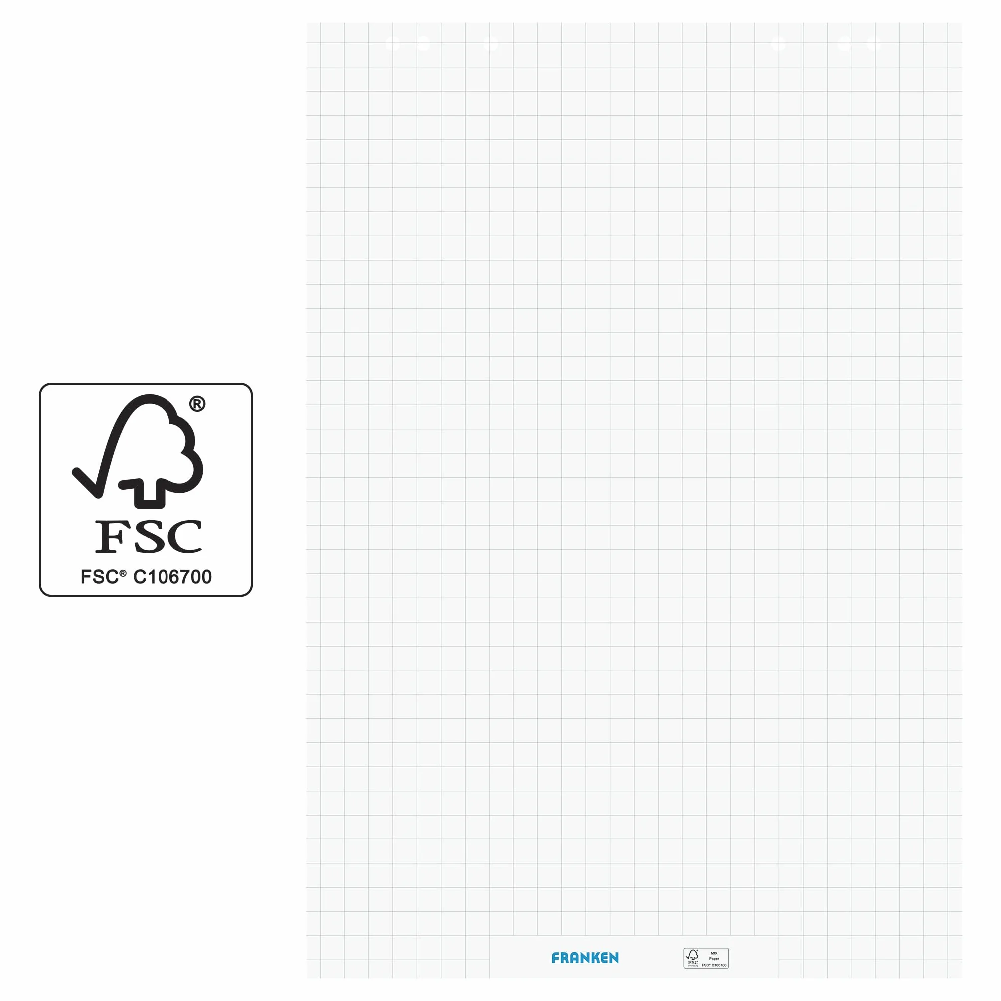 FRANKEN F2130 Papier pour tableau à rabat réversible 80 g/m² à carreaux et vierges 100 feuilles FSC