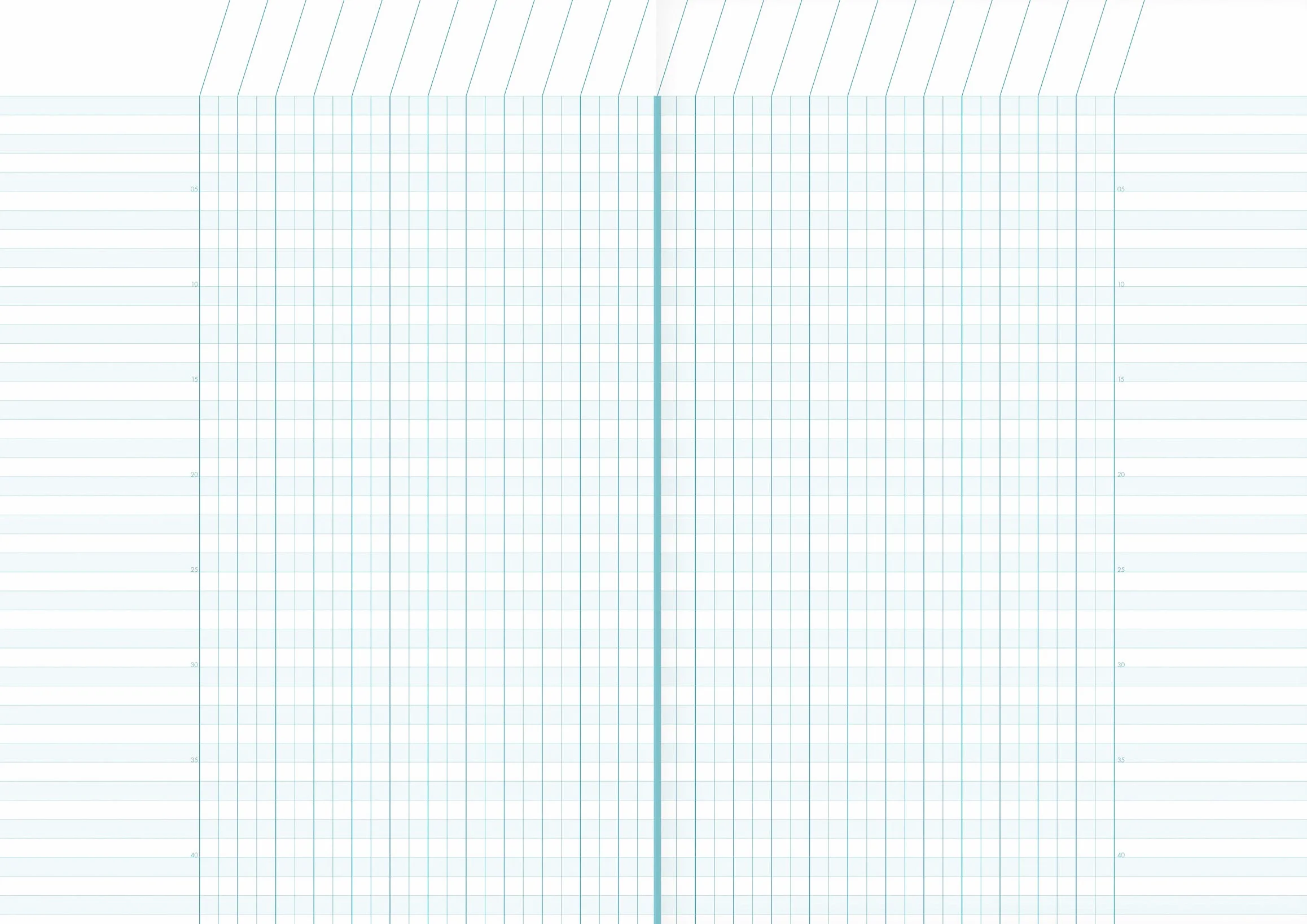 Clairefontaine Cahier de Bord Agrafé A4 21x29,7 cm 72 Pages Papier Registre Vert 110 g