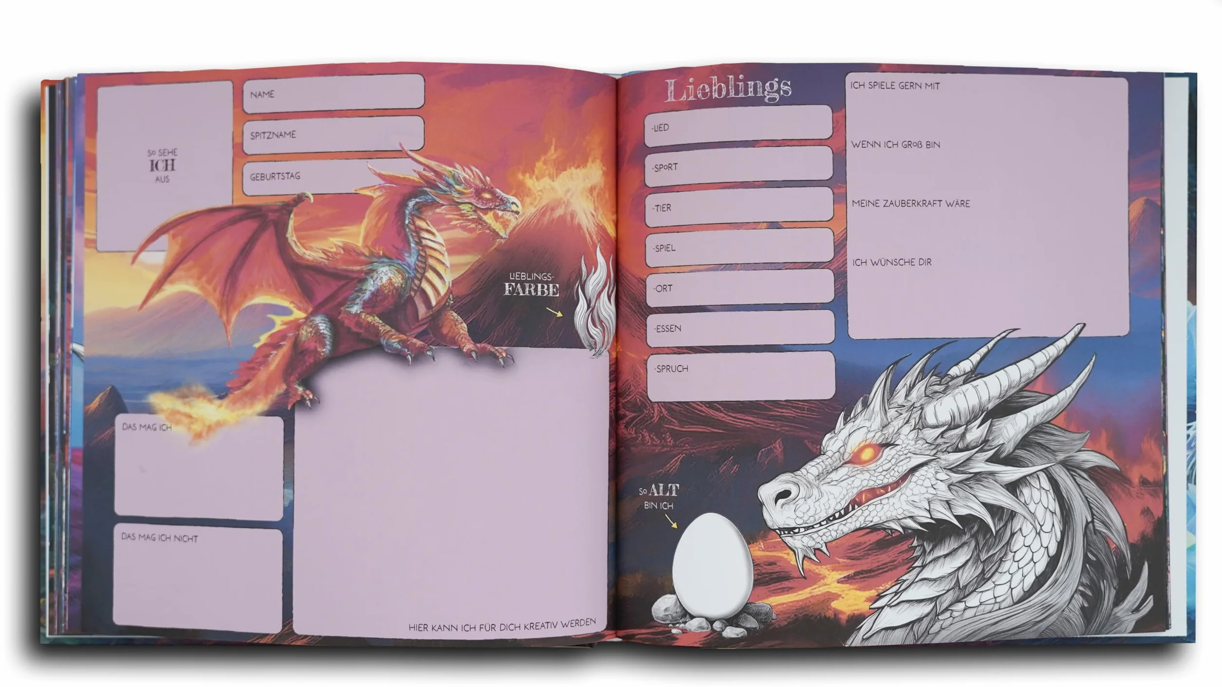 Livre d'amitié Mon dragon ami pour garçons et filles maternelle école primaire Cadeau rentrée des classes