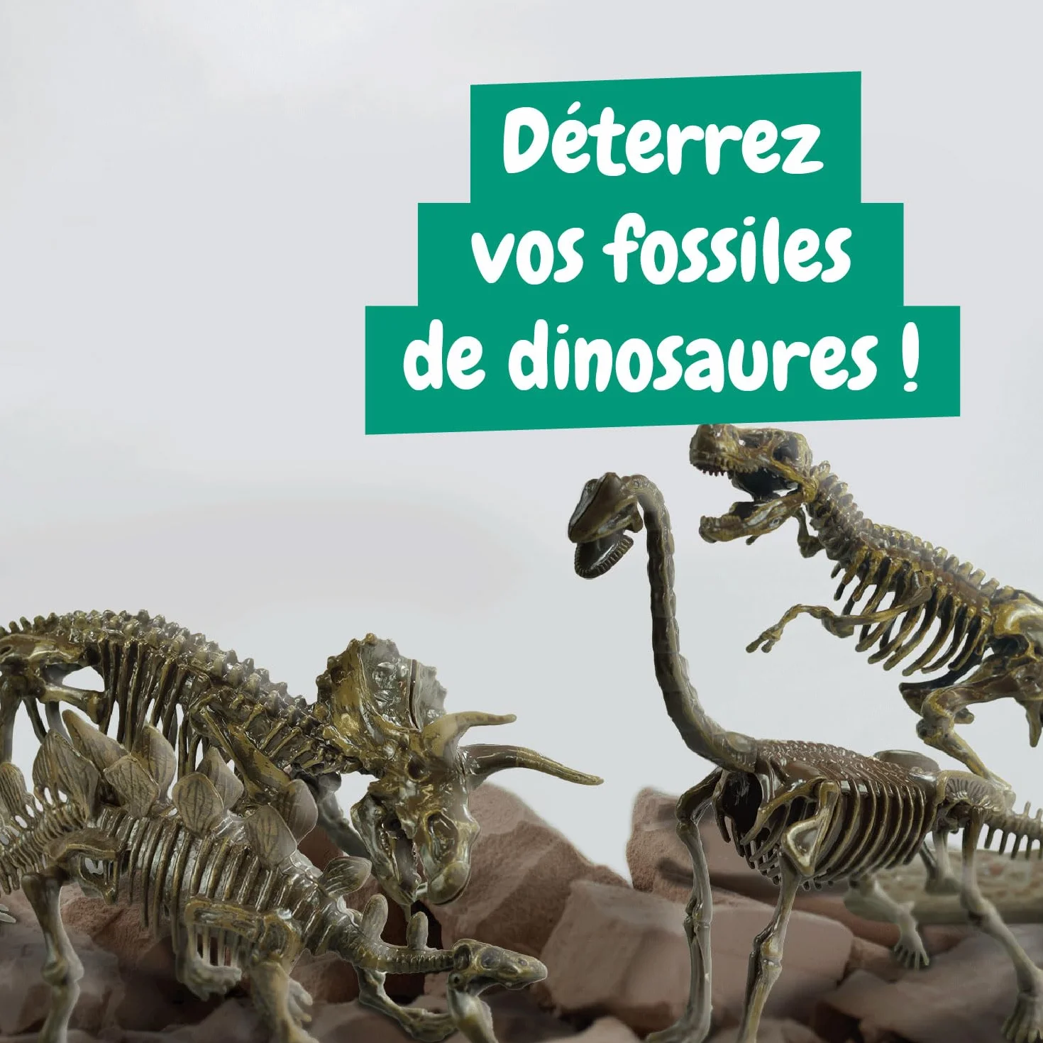 Science4you Kit de Fouille de Fossiles 4 en 1 pour Enfants 5-10 Ans - Excaver et Assembler 4 Dinosaures T-Rex Triceratops Velociraptor Stegosaurus