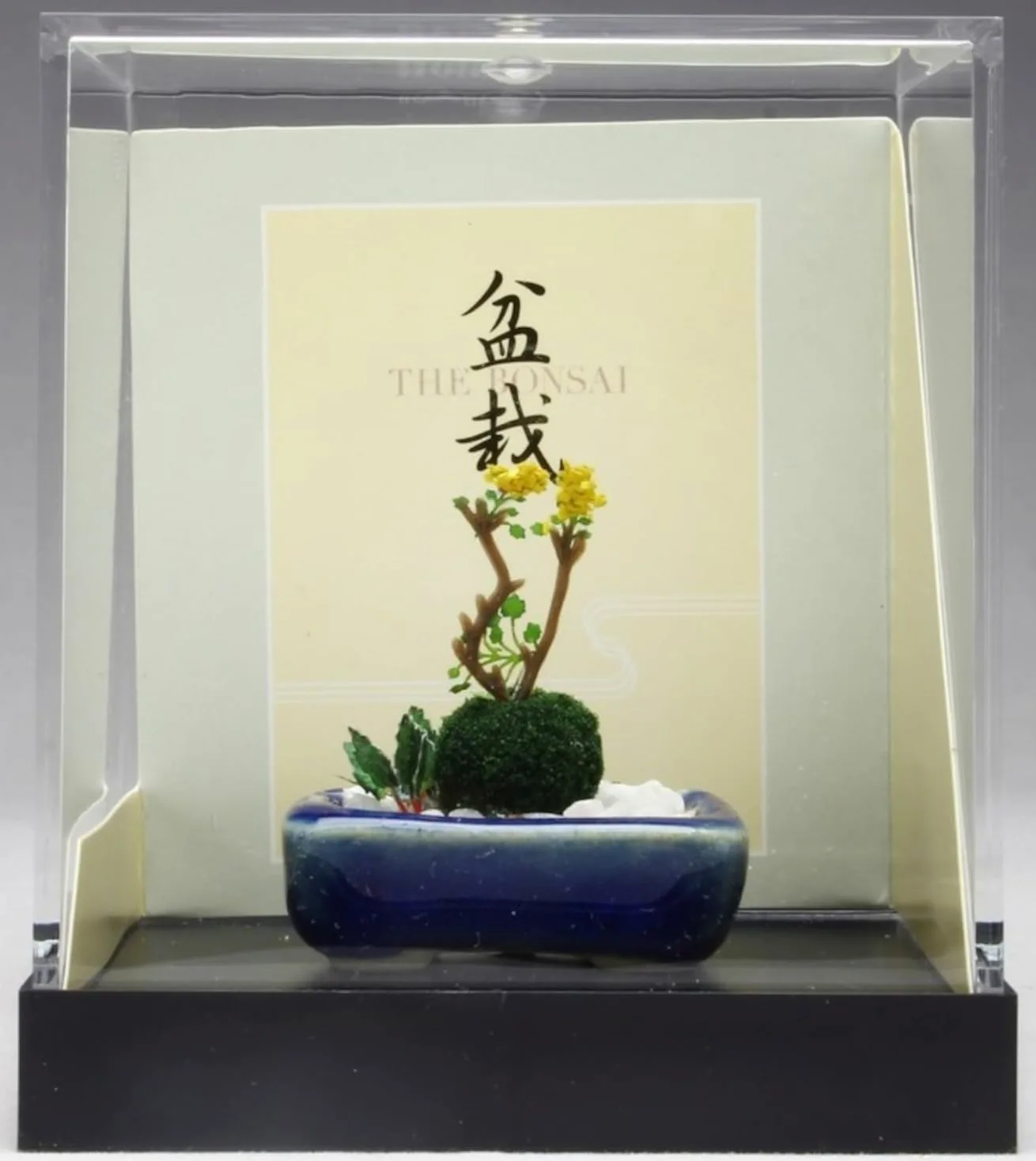 Platz Bonsaï d'herbe sauvage [Pot carré bleu marine]