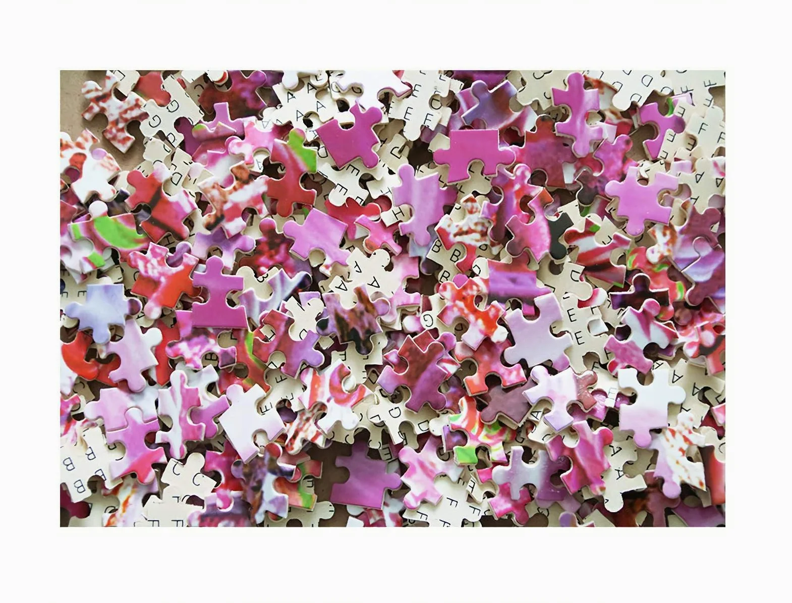 Puzzle 1500 Pièces Adultes Puzzle en Bois DIY Fille Indienne Et Loup des Neiges dans Les Bois d'hiver Puzzle en Bois Décoration Murale Domicile Art Cadeau du Festival 87x57cm