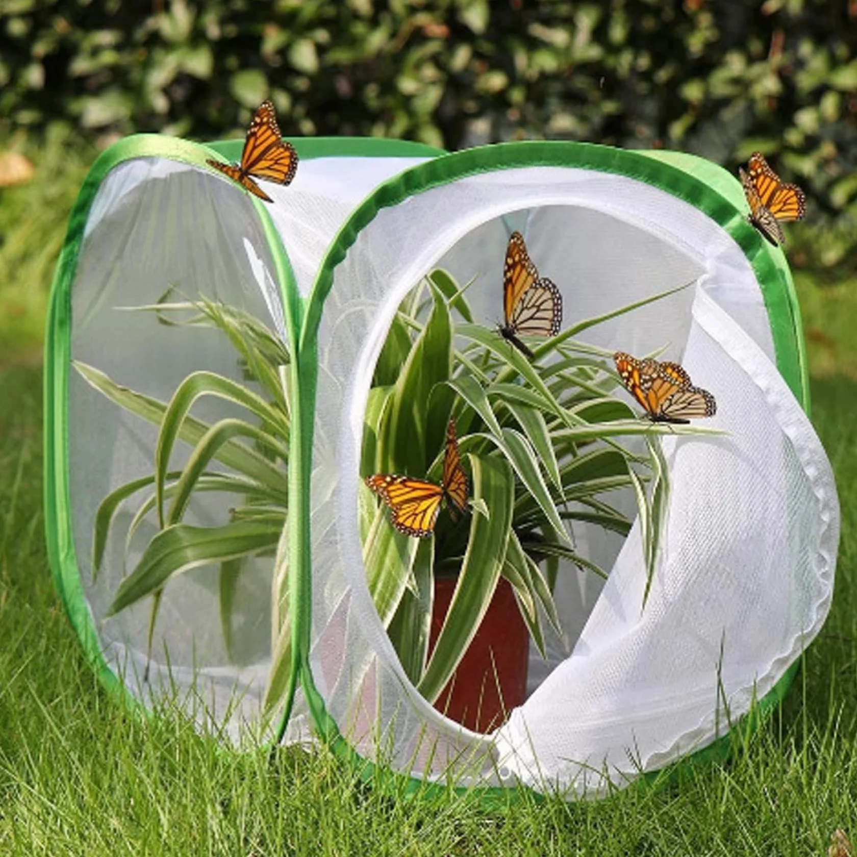 Cage Papillon 12x12x12'' Pop-up Tente Filet pour Élevage Enfants