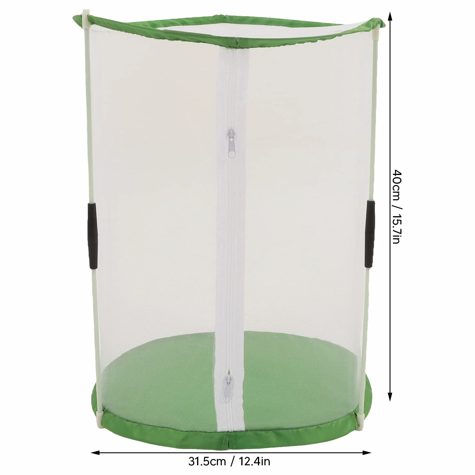 Cage d'observation transparente pour papillons et insectes, maille cylindrique