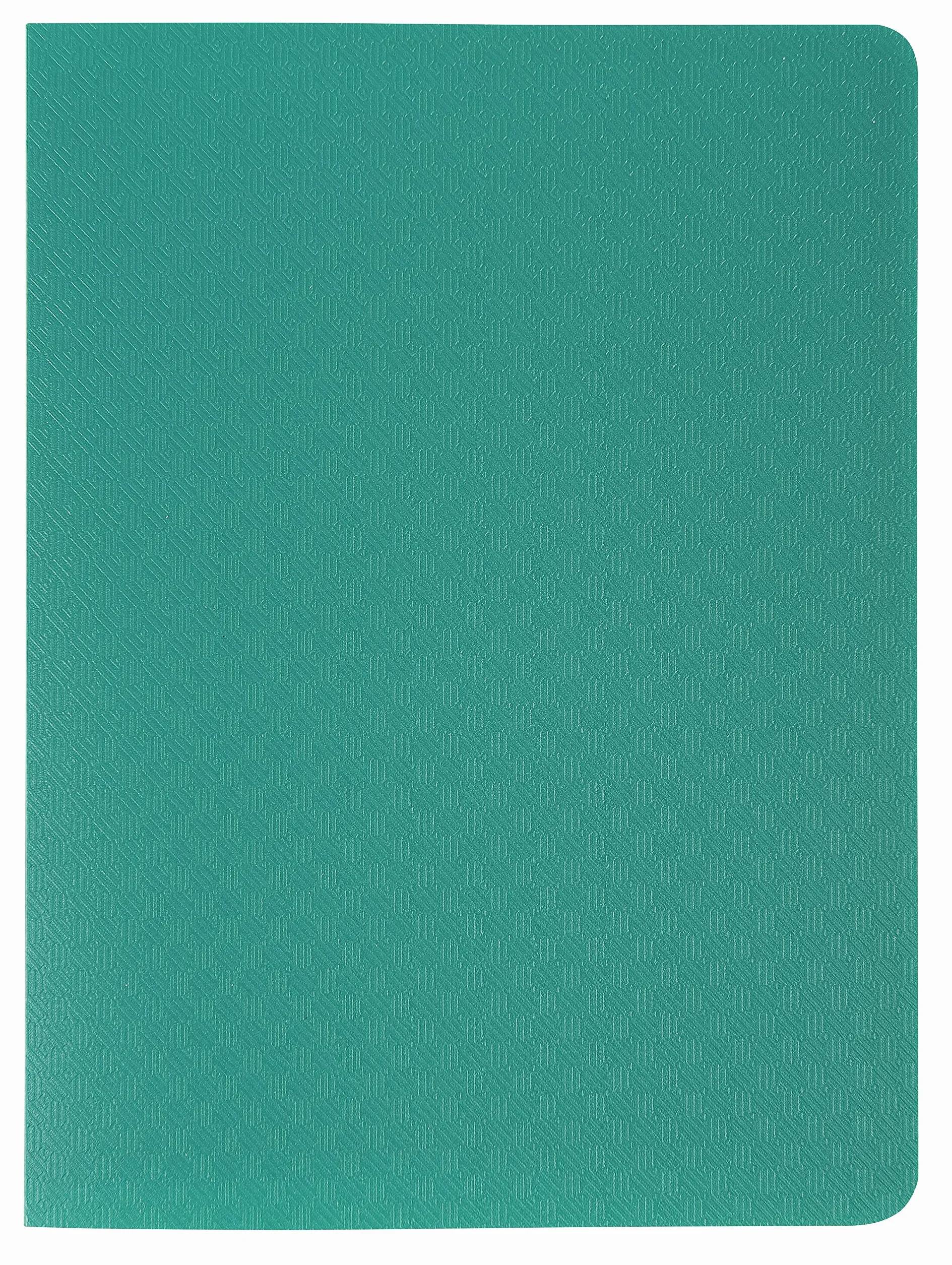 Exacompta Protège-documents Pocket OPAK 20 pochettes cristal lisse 40 vues 11 x 15cm 12,5 x 16,5cm polypro semi-rigide