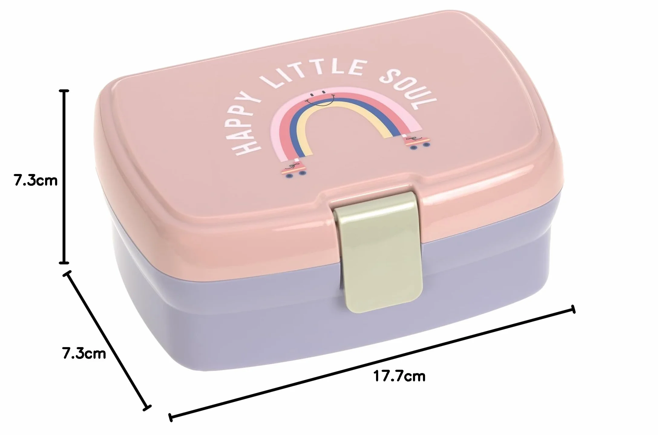 LÄSSIG Boîte à lunch enfants compartiments amovibles sans BPA Lunchbox Tiny Outdoor Rainbow