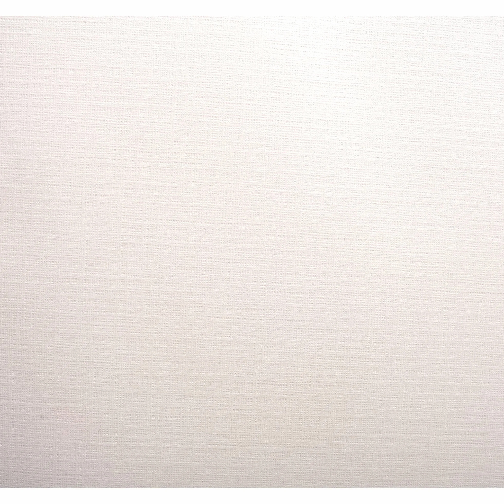 Clairefontaine Lalo 13500L Bloc 50 feuilles unies 21x29,7 cm 100g Toile impériale Blanc