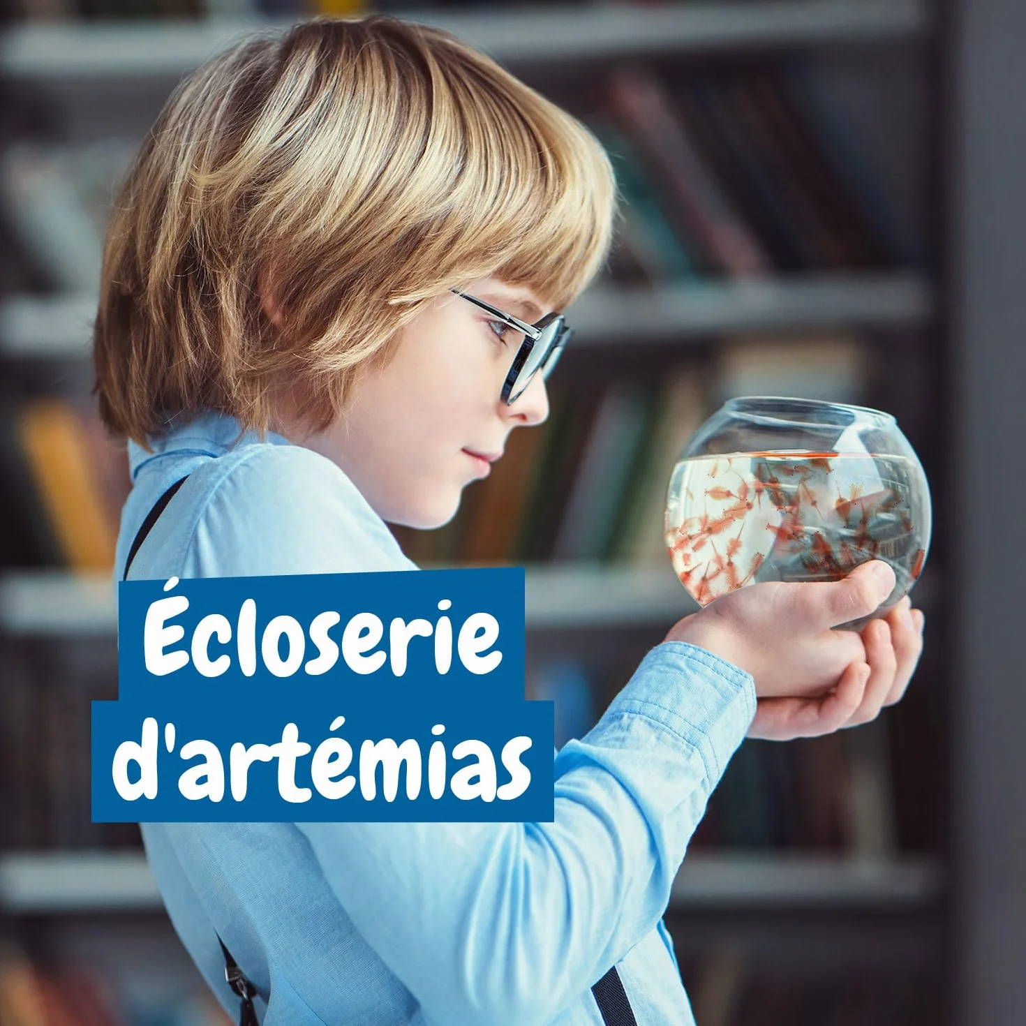 Science4you Creatures Jurassiques Kit Artemias Aquarium Jouet Enfant 6+ Ans Écosystème Monstre Marin Jeux Scientifique