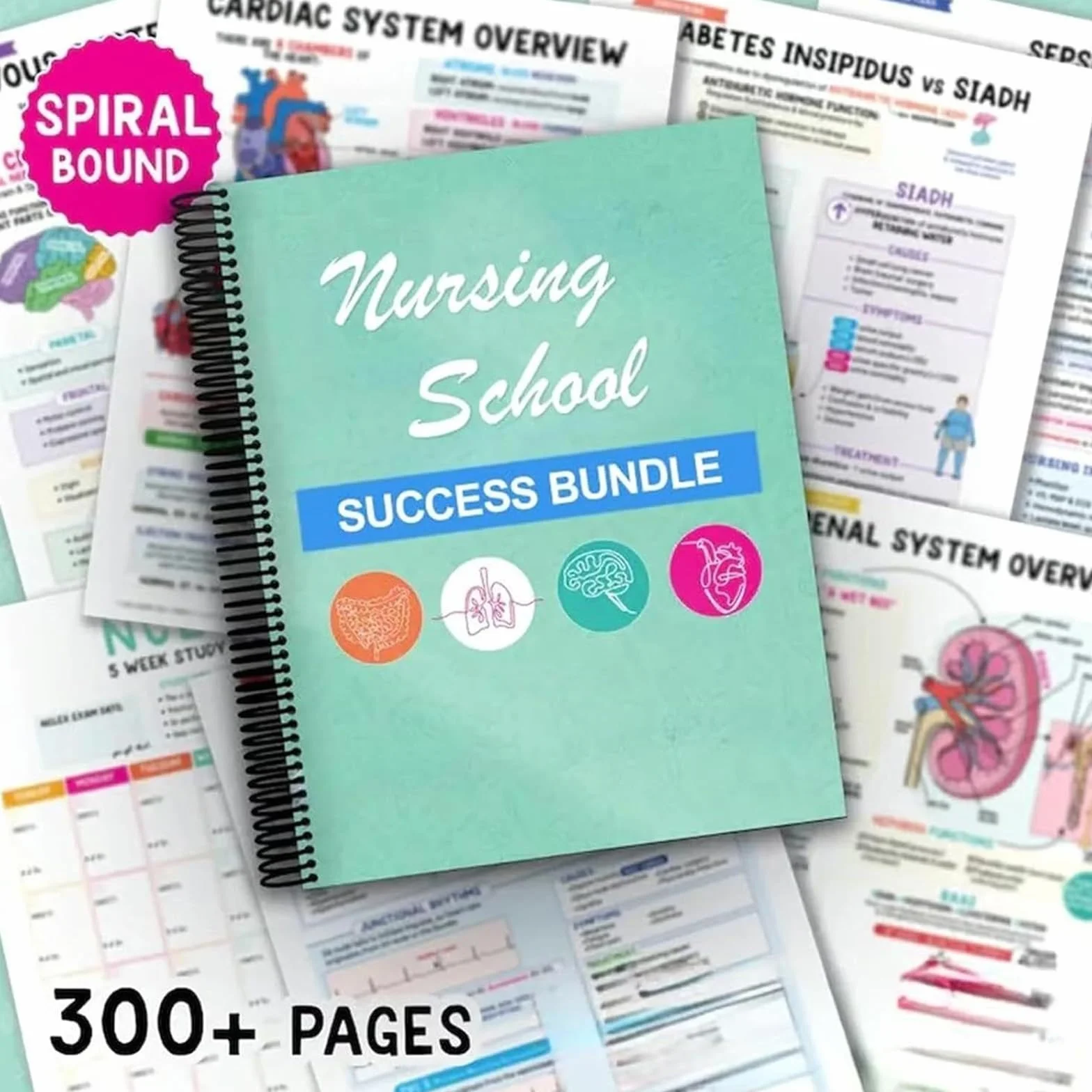 Cahier de notes Success Made Paper Tincasen Nursing School Bundle (2pcs)