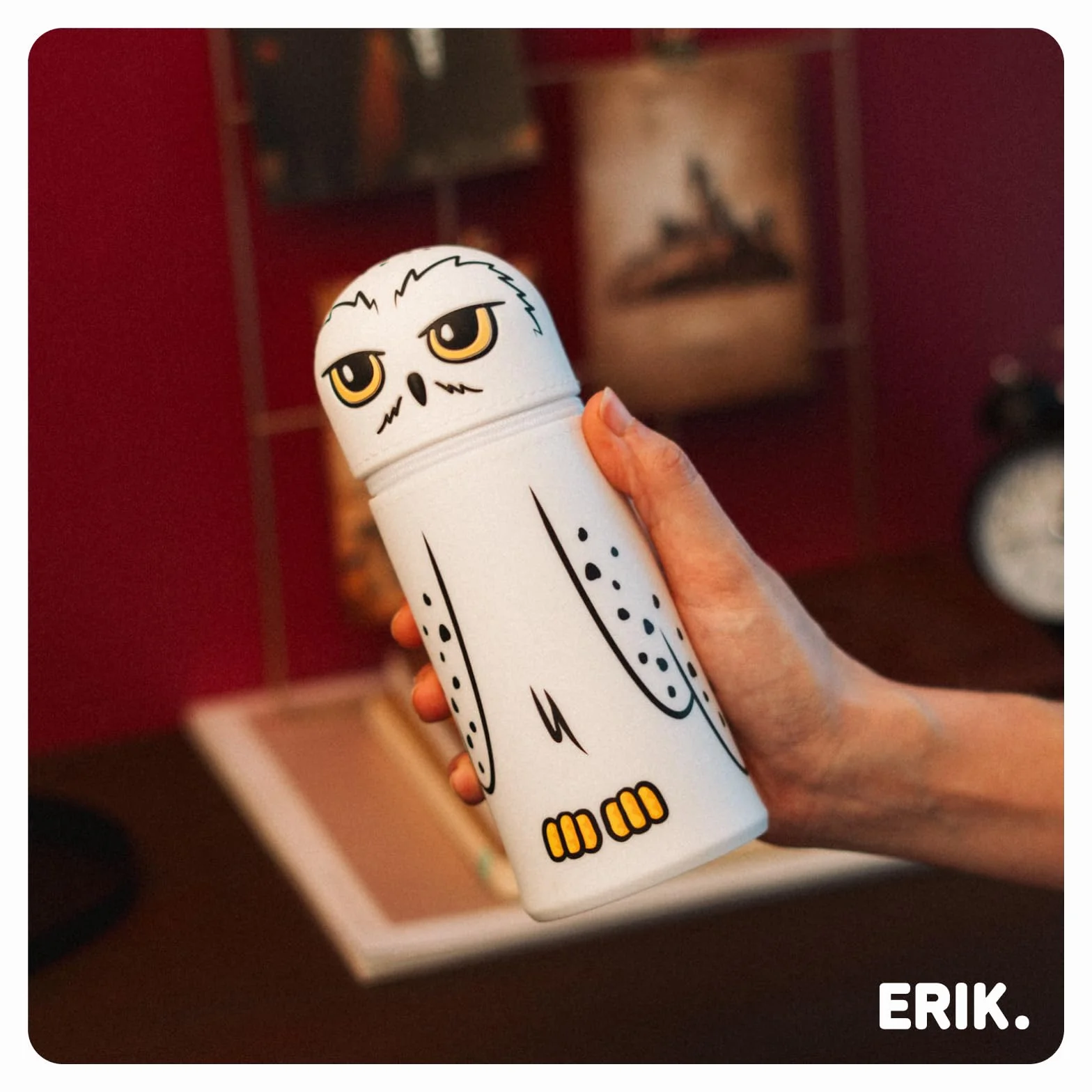 Grupo Erik Trousse 3D Harry Potter Extensible en Silicone Fournitures Scolaires