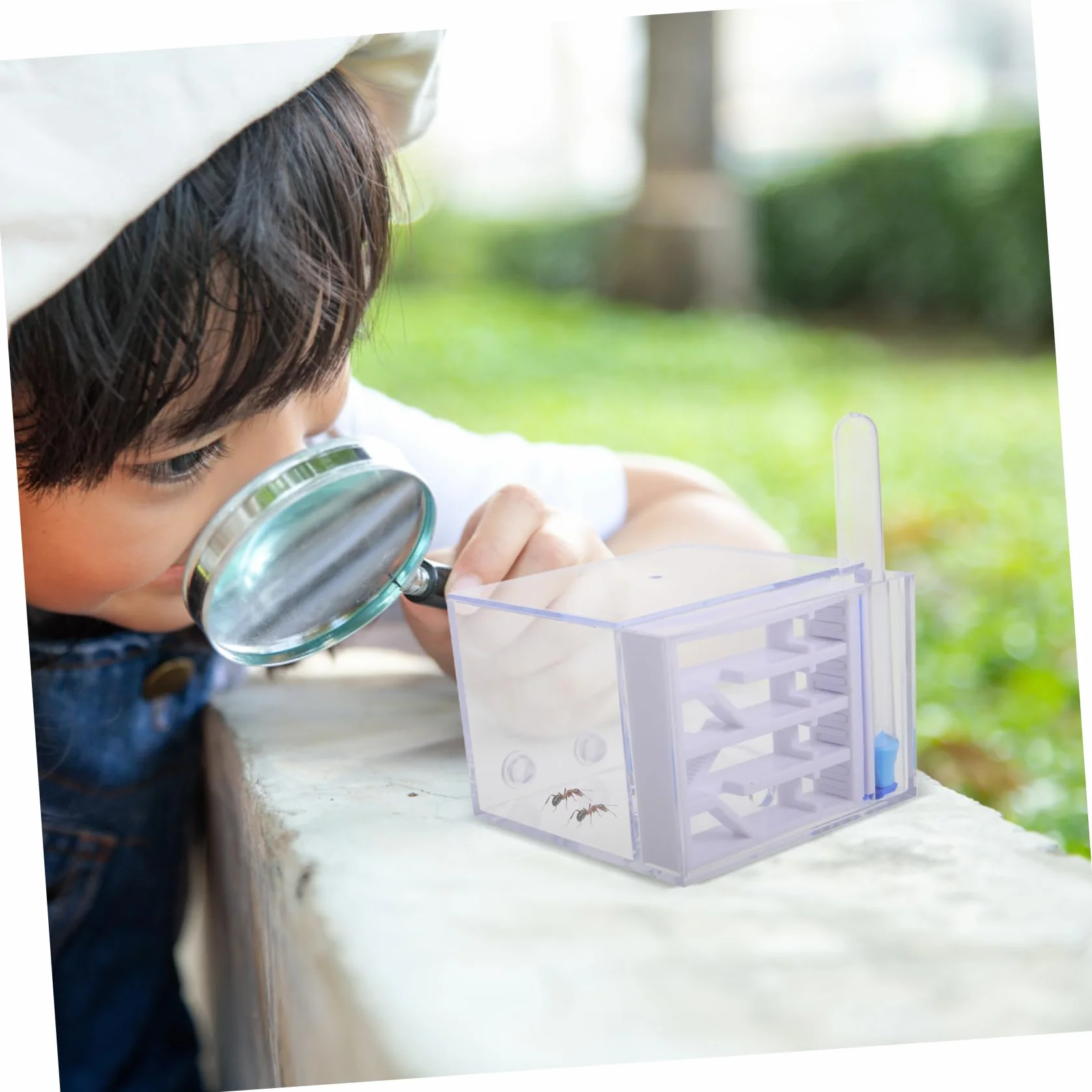 BESTonZON Fourmilière en Acrylique Observation Facile, Trousse Éducative pour Enfants, Jouet Scientifique