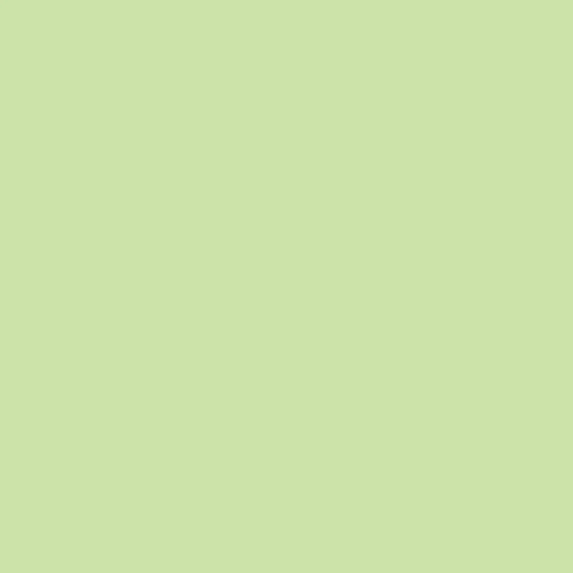 EVERCOLOR papier reprographique A4 80g 100% recyclé vert clair Ange Bleu 500 feuilles